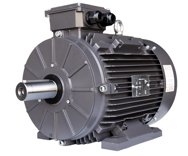 Moteurs Premium en Aluminium 56C
