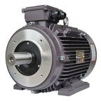 Moteur en aluminium Techtop 3/4 CV 230/460V 1800 tr/min 56C