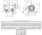 US Motors D30P2G - 30 CV - ODP - 1775 tr/min