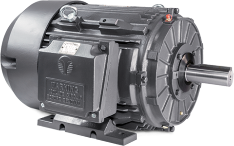 Moteur électrique Techtop pour usage agricole 2HP 115/230V 1800RPM 56H