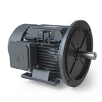Moteur Techtop GRA0034F-01 3 CV 575V TEFC en aluminium