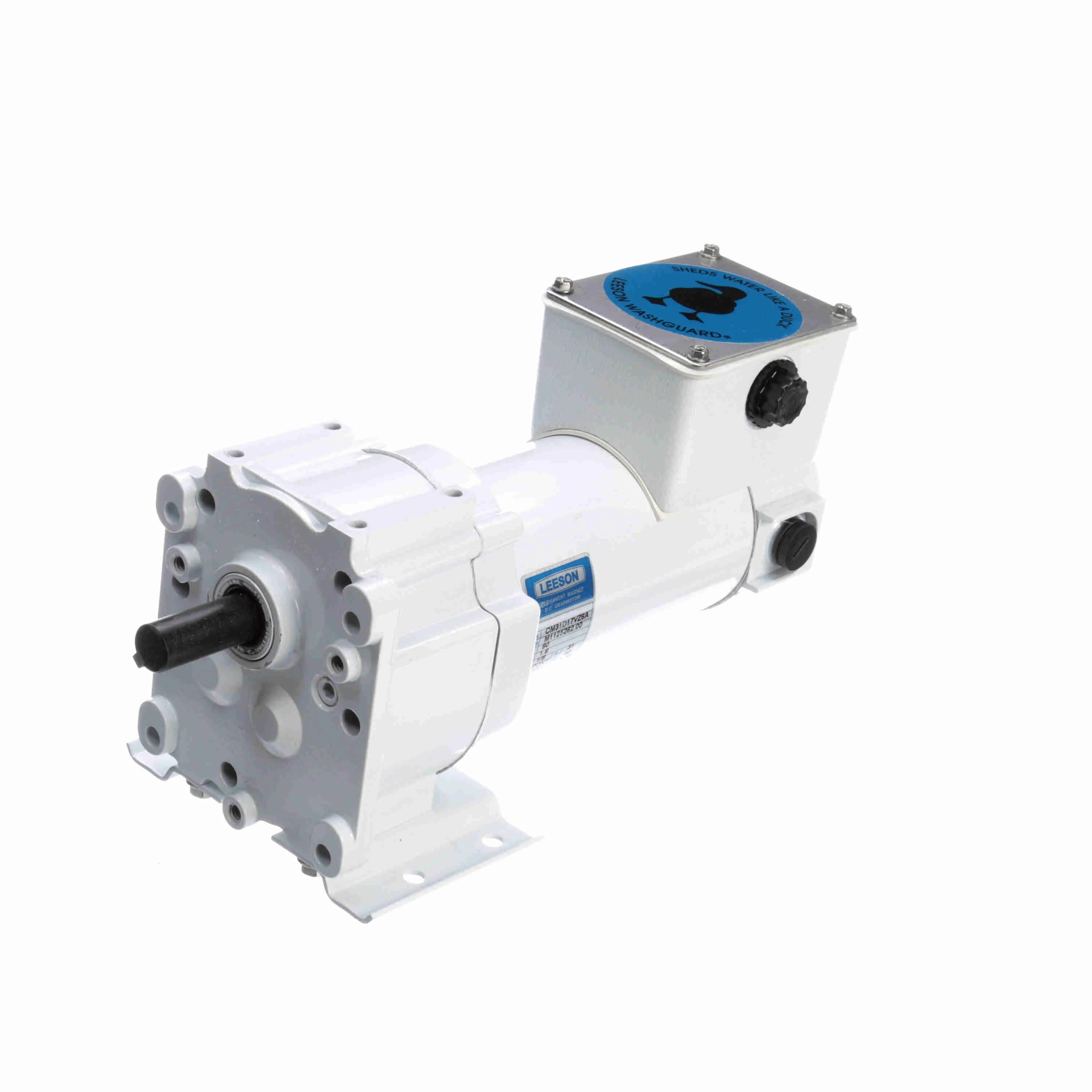 LEESON M1125262.00 Moteur à engrenages à arbre parallèle 1/8CV 31 tr/min série P300 pour environnements humides