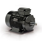Moteur Leeson 192133.00 1,5 CV 3 PH 575 V IEC
