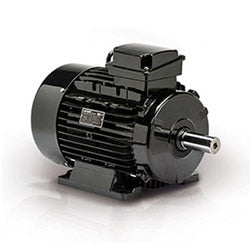 Moteur Leeson 192133.00 1,5 CV 3 PH 575 V IEC
