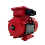 Moteur Leeson 192133.00 1,5 CV 3 PH 575 V IEC