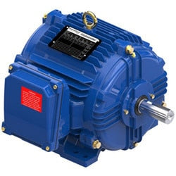 Marathon X069 5-5/8" Diameter Double Shafted Direct Drive Blower Motor