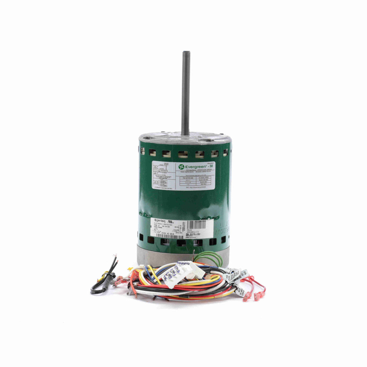 Genteq 6010 Evergreen 1 HP ECM Motor