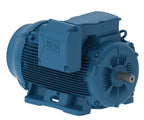 WEG K049-WEG CT200408NPBBW22449T Moteur