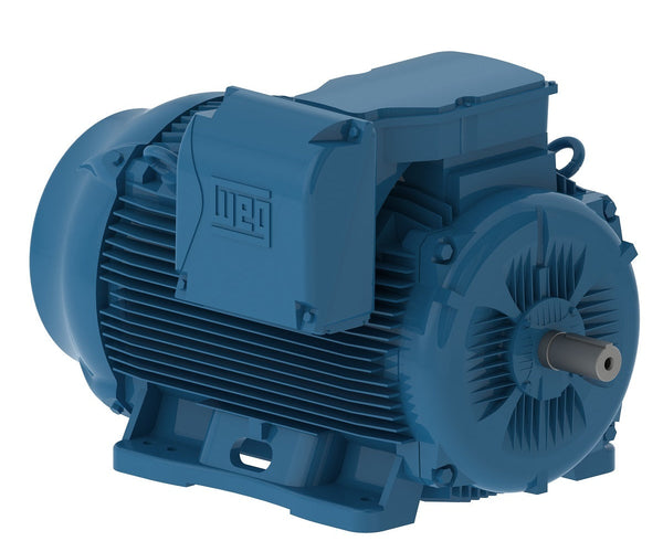 WEG K049-WEG CT200408NPBBW22449T Moteur