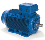 WEG K049-WEG CT200408NPBBW22449T Moteur